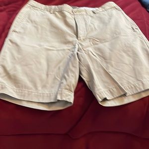 Khaki Shorts